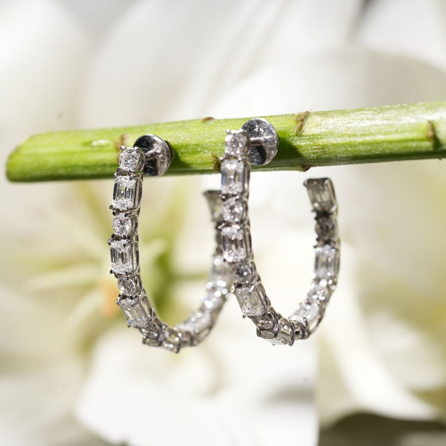 Elysian Earrings