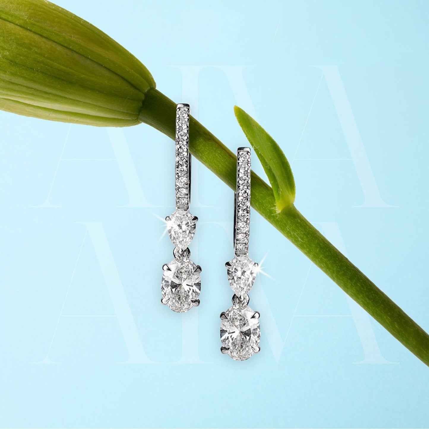 Zenith Earrings