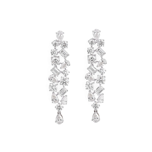 Bold Fancy Shaped Danglers
